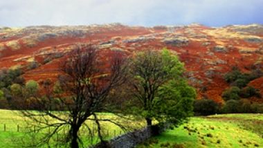 Anglia rurala: povesti cu bere de casa si cavaleri