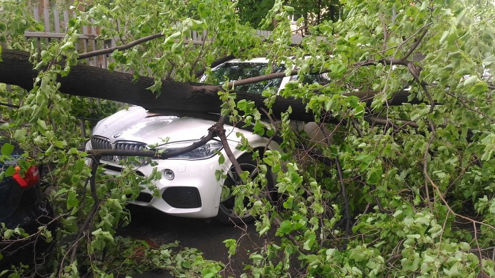Bucureștiul și Ilfovul, sub cod portocaliu de vreme severă. ANM avertizează asupra rafalelor de până la 80 km/h