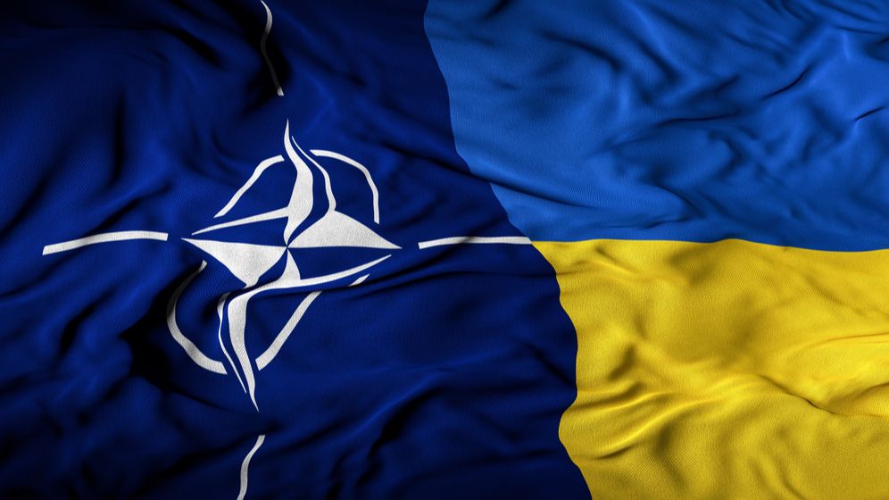 Ambasadorul ucrainean în Marea Britanie: Ucraina ar putea renunța la candidatura NATO