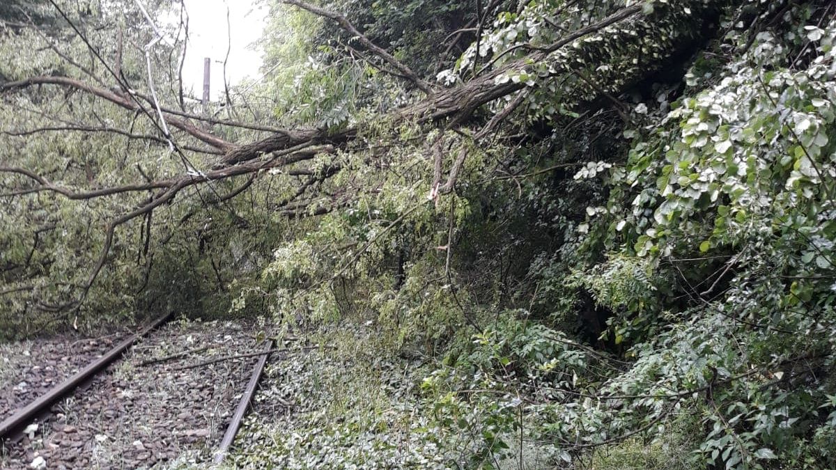 Circulatia feroviara a fost reluata in vestul tarii, mai multe trenuri sunt blocate pe ruta Bucuresti-Timisoara si au intarzieri de pana la 7 ore