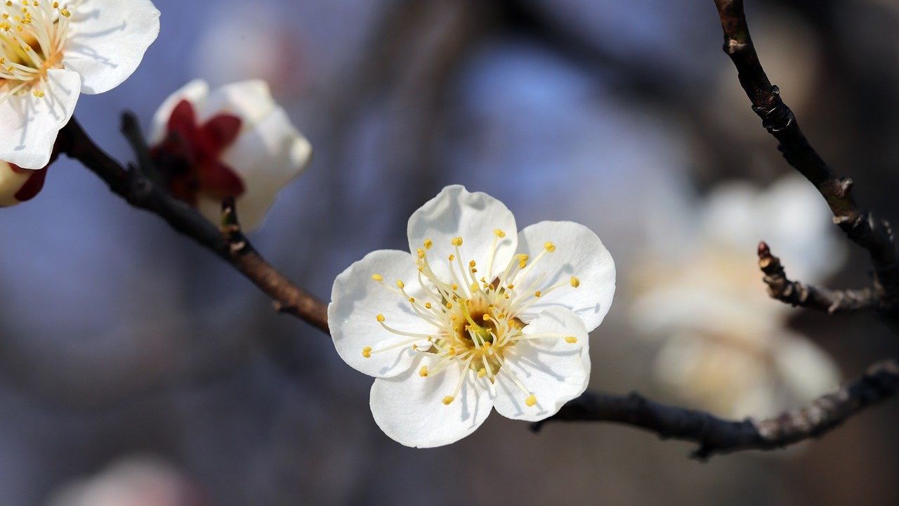Vremea în weekend: cum se modifică temperaturile