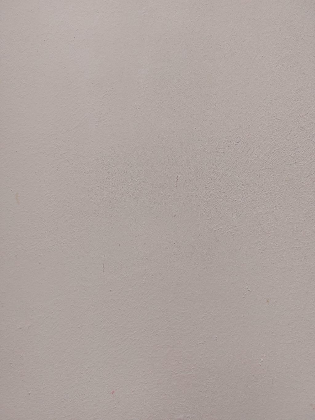 ANPC piață volantă - Imagine 9