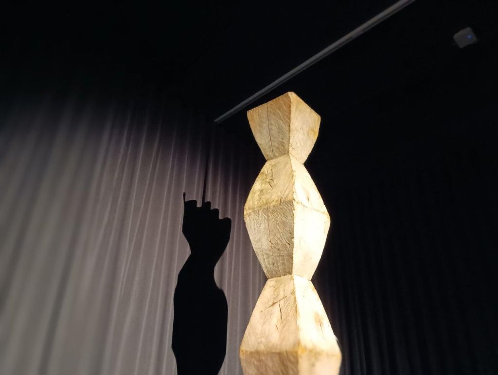 Expoziția Brâncuși de la Timișoara: capodoperele, în vizită în patria părintelui lor - Imagine 71