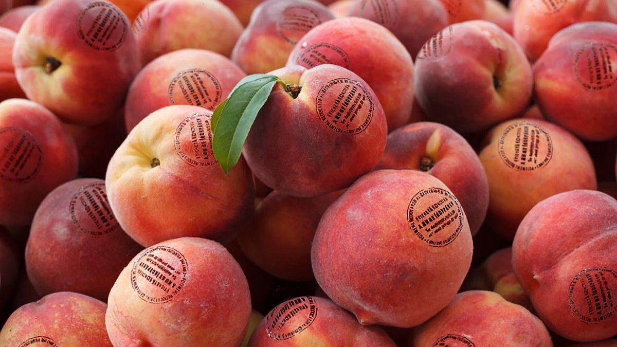 Un startup românesc vrea să revoluționeze igienizarea fructelor și legumelor printr-o bio-etichetă antimicrobiană