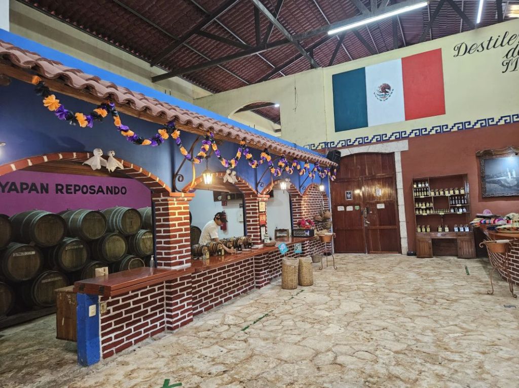 Mexic Peninsula Yucatan - Imagine 28
