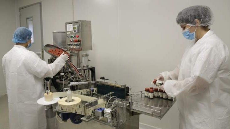 Mitocaru, Alevia: Estimam ca pana la finalul anului 2017 vom avea un profit de 3,5 mil. lei