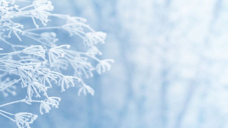 Cod galben de ger in Bucuresti si 21 de judete, unde vor fi temperaturi minime intre -22 si -14 grade, pana sambata dimineata