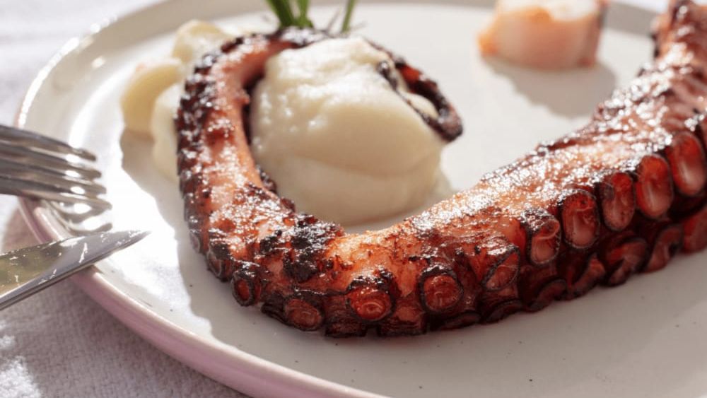 Caracatiță la grătar & restaurante din Suceava: secretul afacerilor HoReCa departe de mare