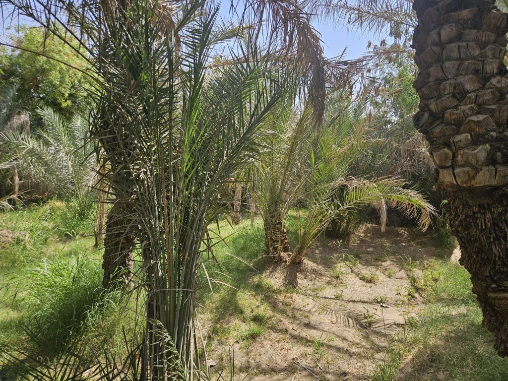 Abu Dhabi - Imagine 74