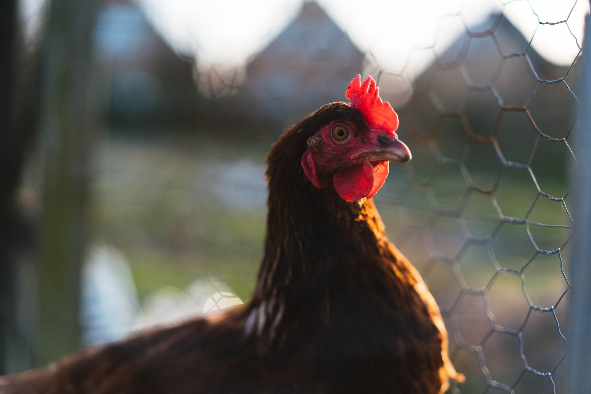 Cum încearcă Agroland să producă mai mult din ceea ce consumă România. CEO: „În agricultură trebuie să ai răbdare”