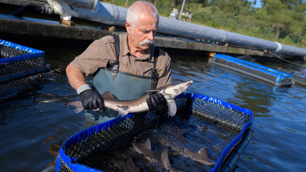 ROCA Investments continută investițiile în segmentul agrifood și anunță o tranzacție de 600.000 euro