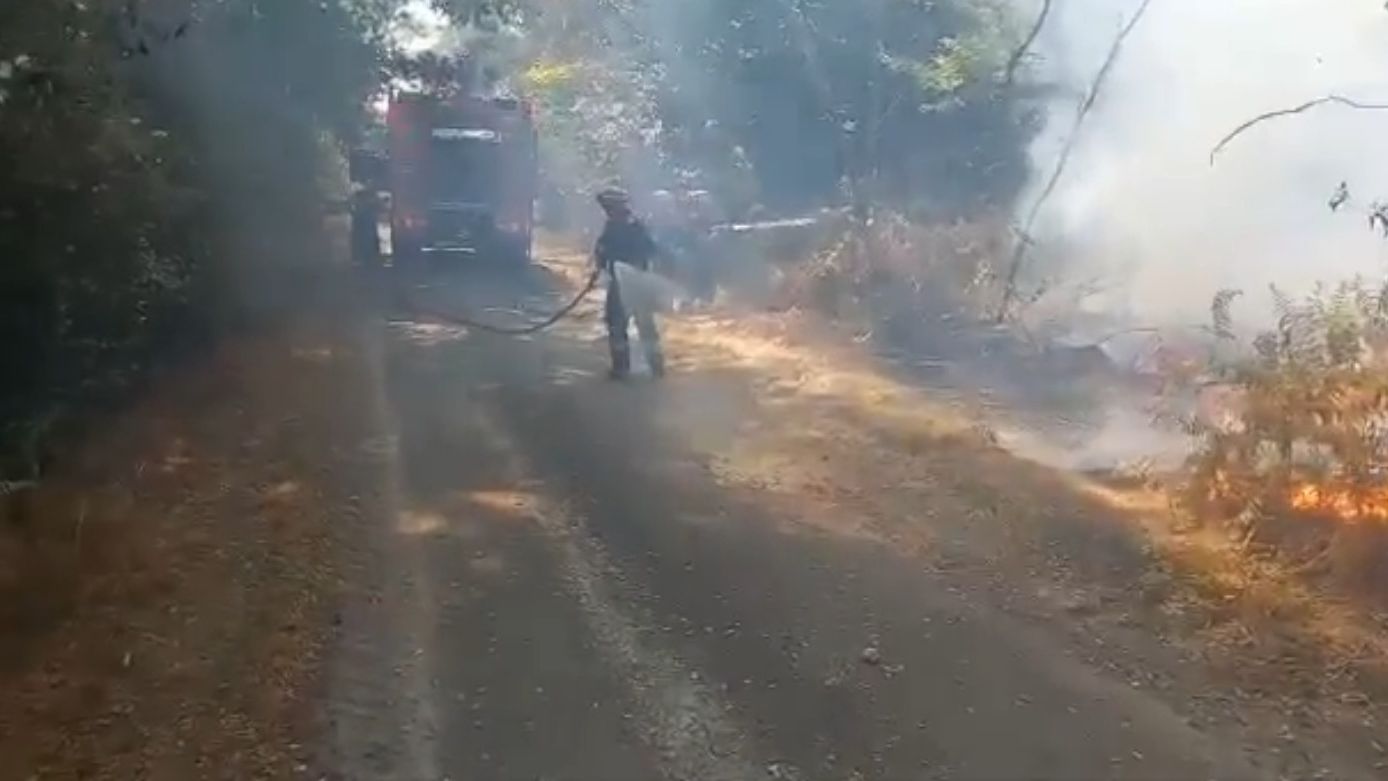 VIDEO | A avut loc prima misiune a pompierilor români în Franța