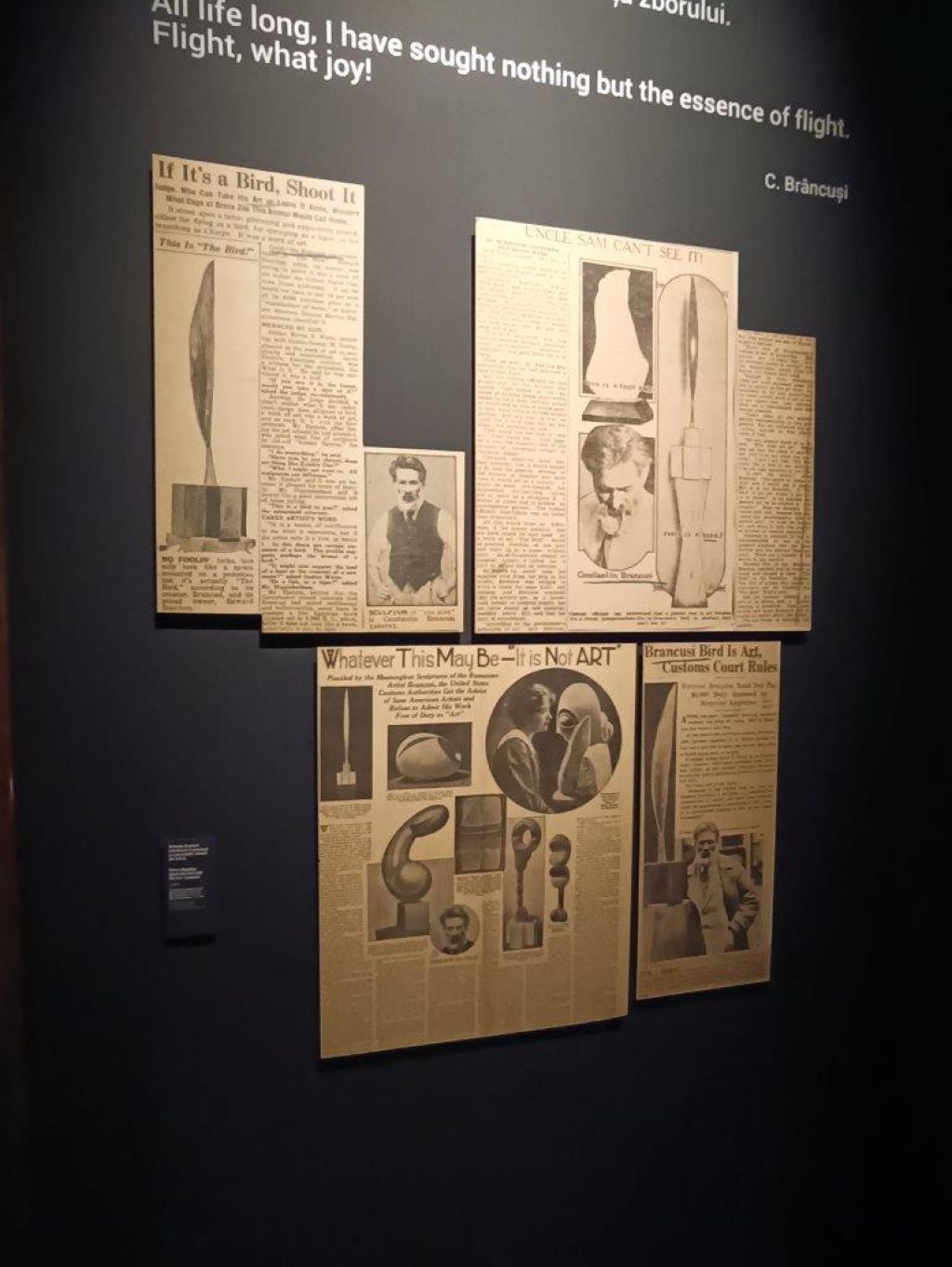 Expoziția Brâncuși de la Timișoara: capodoperele, în vizită în patria părintelui lor - Imagine 65