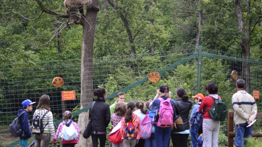 TotalEnergies Marketing Romania susține programul de educație al Asociației Milioane de Prieteni