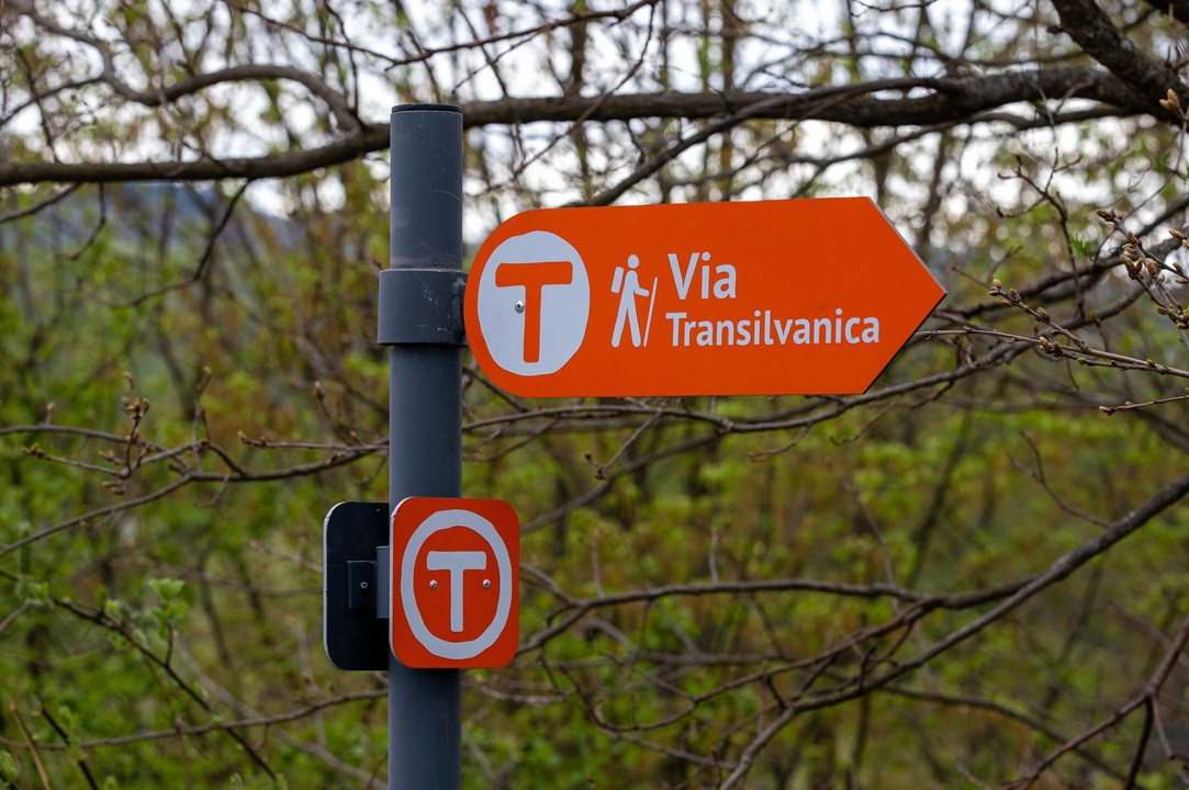 Via Transilvanica intră într-o nouă etapă: nouă rezidențe culturale vor documenta România din teren