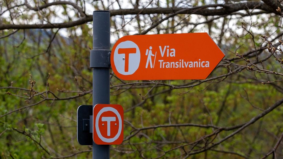 O nouă ediția a proiectului RBL pe Via Transilvanica: Peste 150 de oameni de afaceri pornesc pe drumul care unește