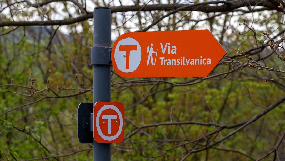 Via Transilvanica intră într-o nouă etapă: nouă rezidențe culturale vor documenta România din teren