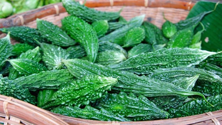 Cum traieste un roman din "insulina verde", afacerea in care a investit 100 de euro. "Niciodata nu am facut fata cererii"