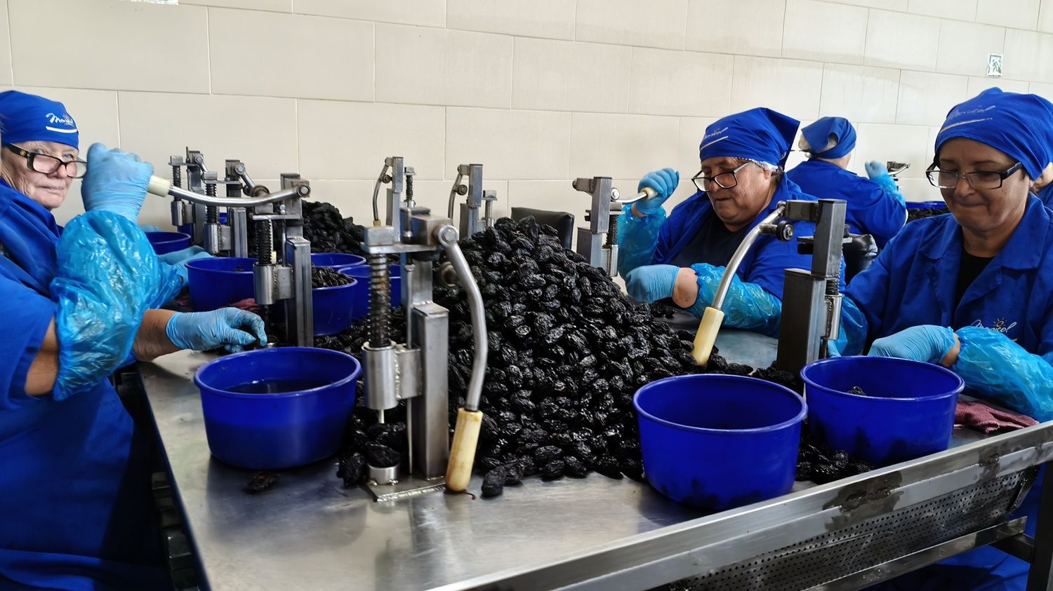[FOTO] În fabrica furnizorului de fructe uscate care vinde prin Kaufland, Lidl și Selgros. Hale abandonate transformate într-o afacere de familie moldovenească - Poza 22