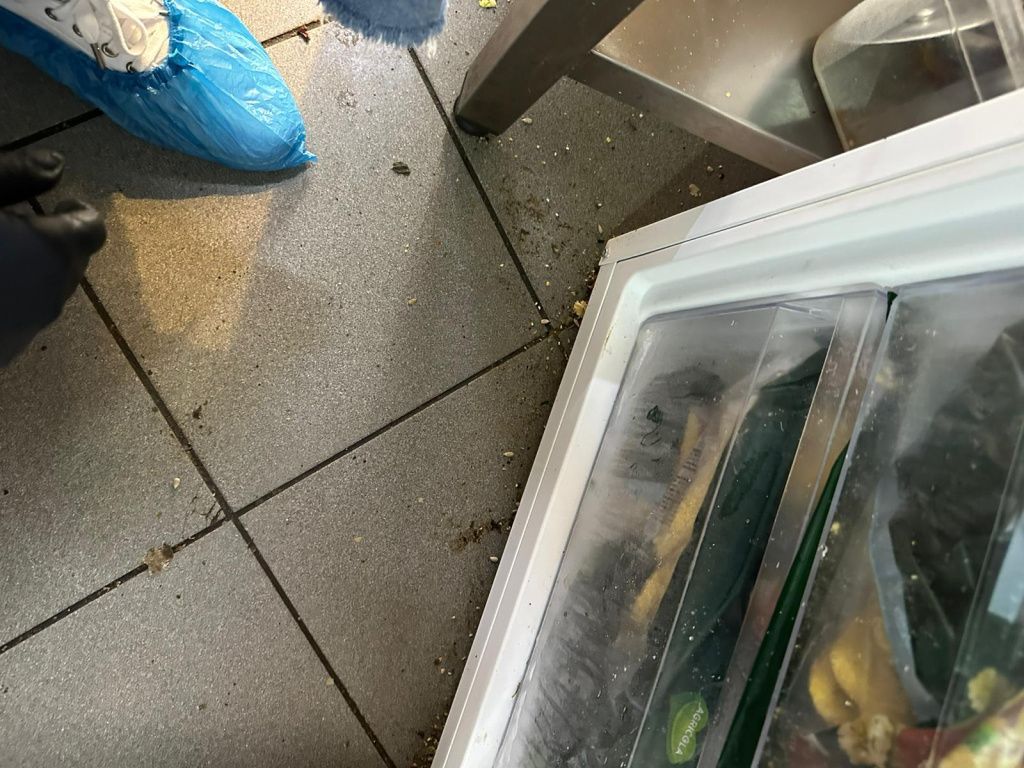 Mizerie și mâncare stricată în zeci de restaurante de pe Litoral - Imagine 2