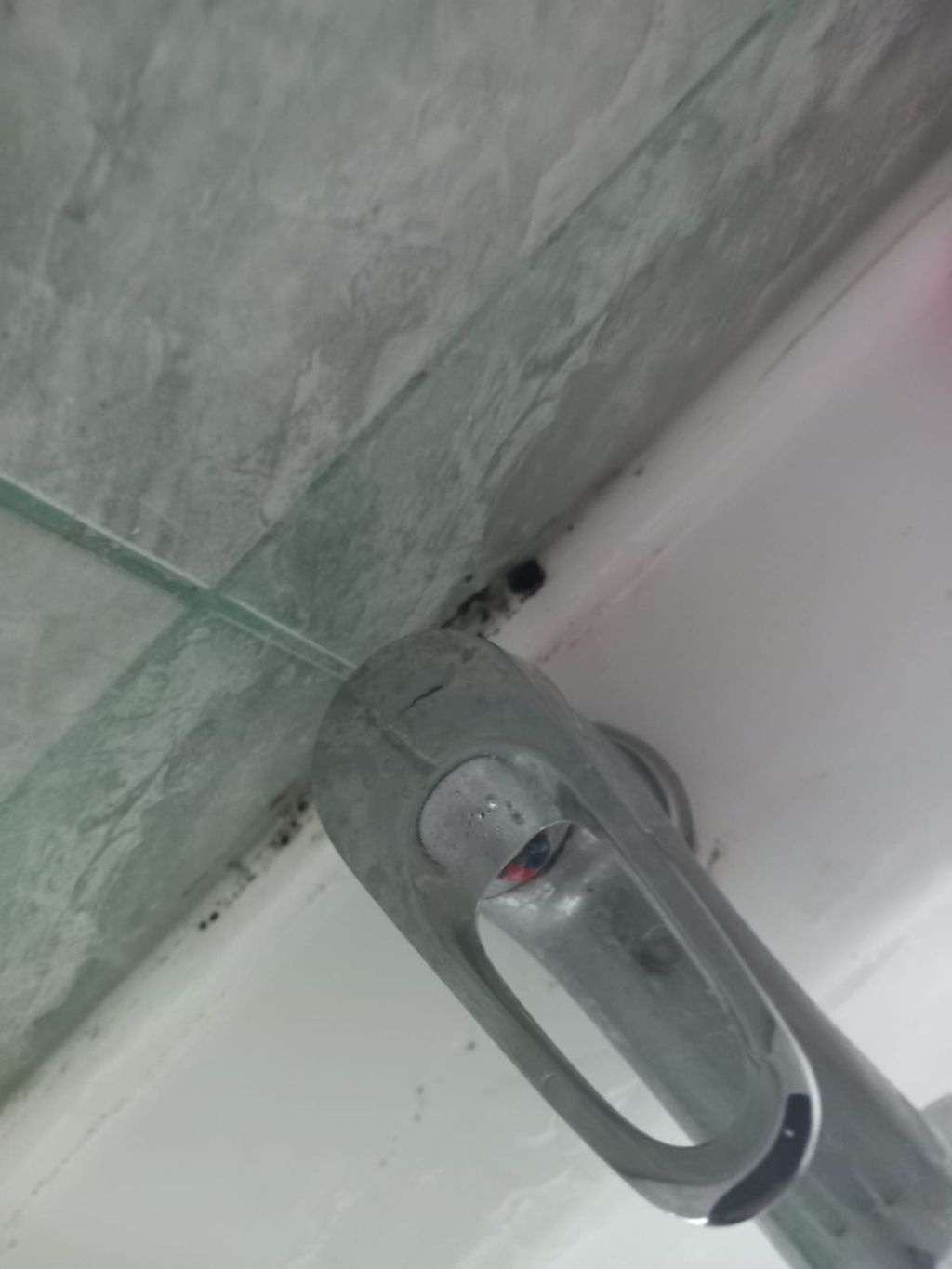 GALERIE FOTO | ANPC a închis temporar un hotel de pe Eforie Nord - Imagine 2