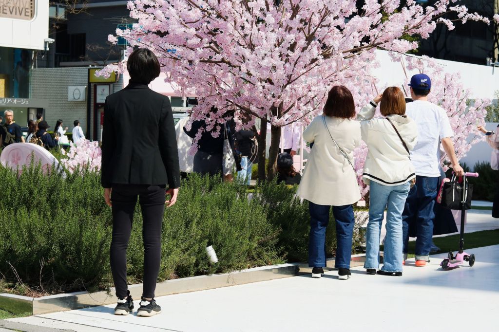 Cireșii din Tokyo, luați cu asalt de turiștii din întreaga lume - Imagine 11