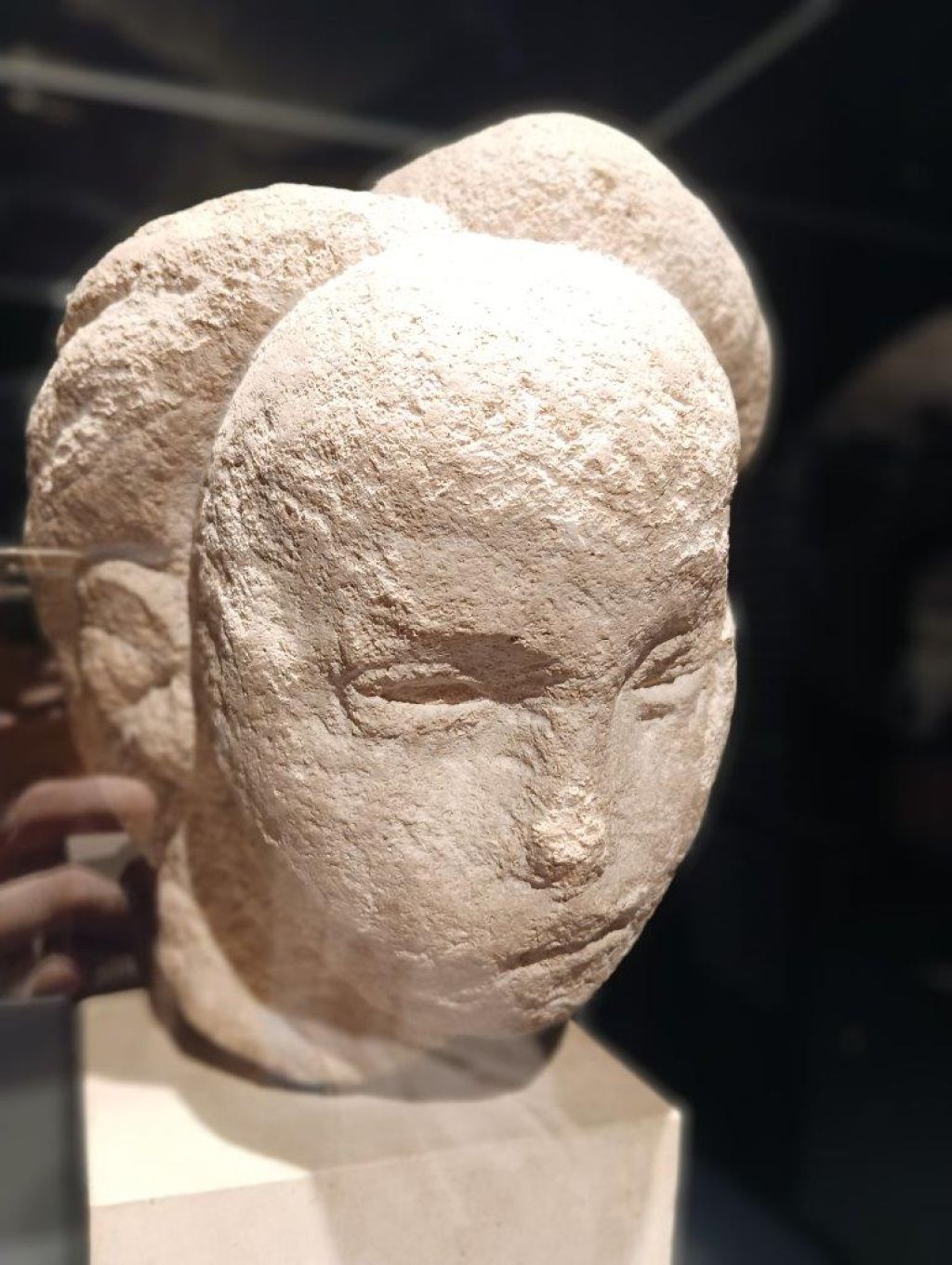 Expoziția Brâncuși de la Timișoara: capodoperele, în vizită în patria părintelui lor - Imagine 45