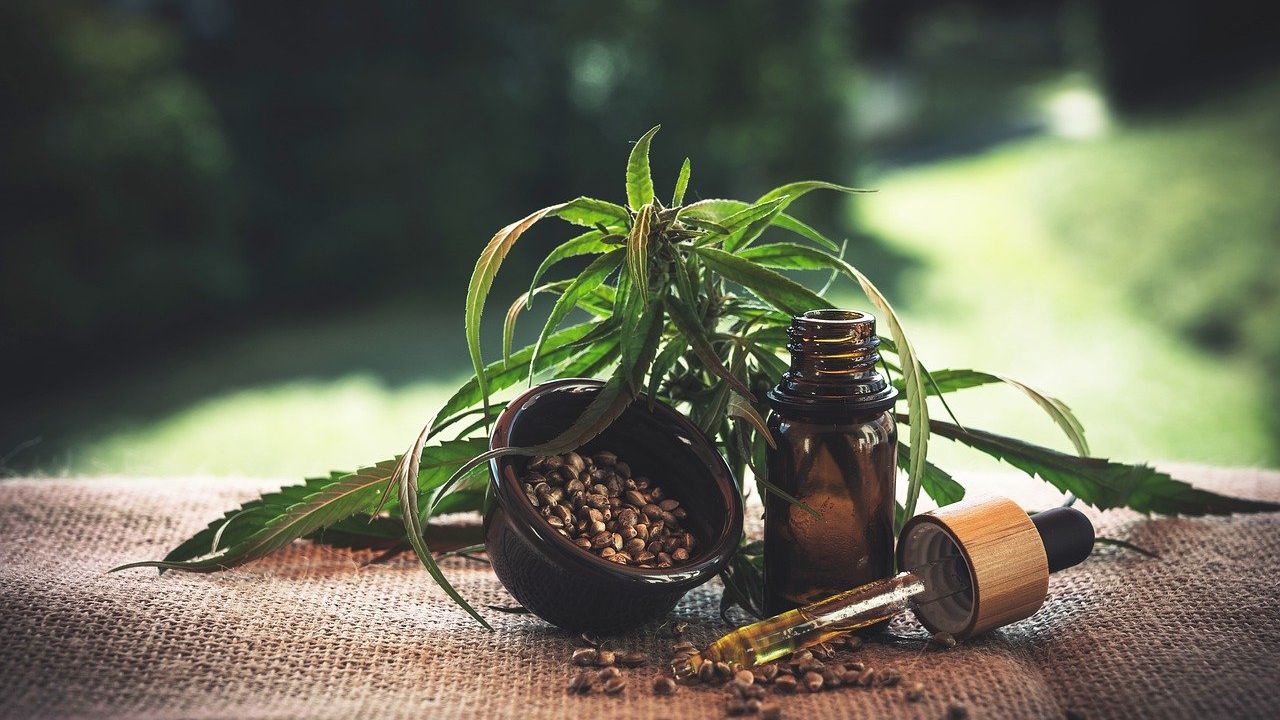 Ce stat din Europa devine noua ”capitală” a marijuanei