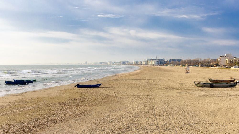 Turiștii ar putea sta la umbra pinilor pe litoral: proiect pilot pentru plajele lărgite din Mamaia-Năvodari