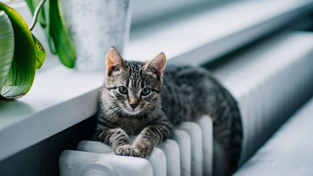 Facturi iarna: 10 sfaturi eficiente pentru a reduce costurile la căldură iarna și a economisi energie în locuință