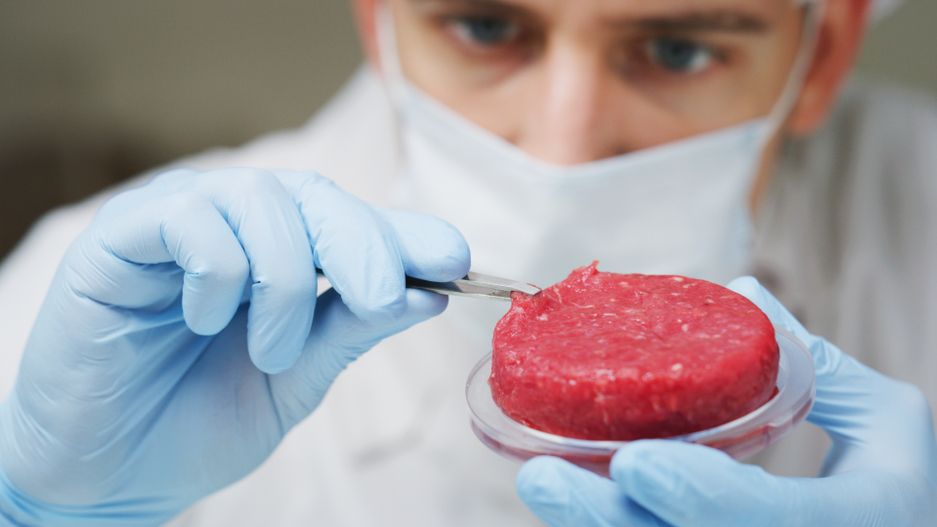 Rabinul-şef al Israelului permite consumul de carne „cultivată” din celule de vacă