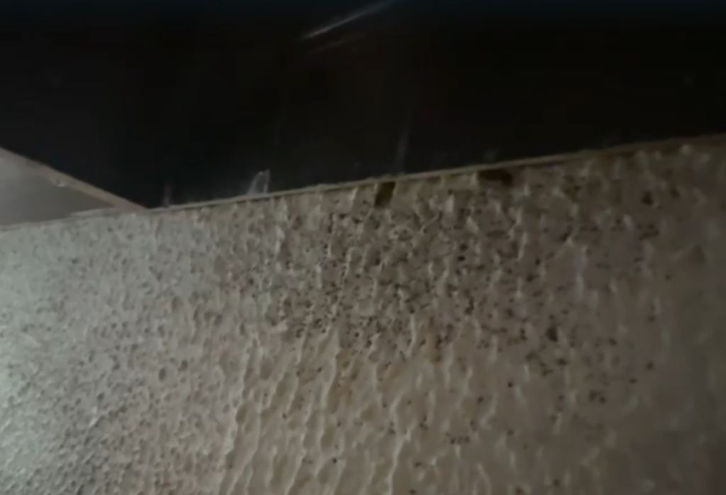 FOTO | ANPC închide temporar Berăria H. Ispectorii lui Piedone au găsit gândaci care "žstăteau - Imagine 8