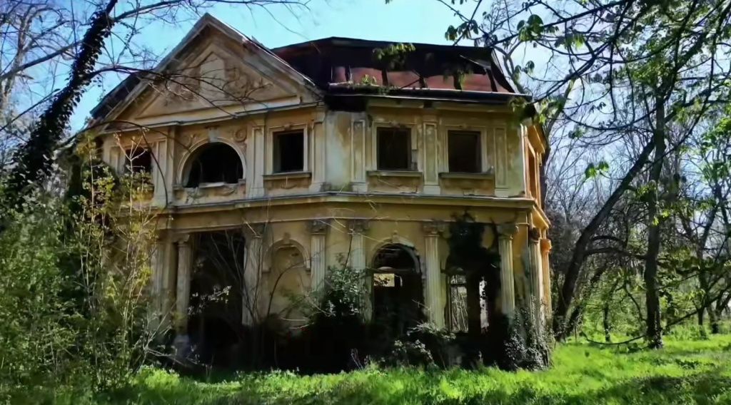 Alfred Simonis / Facebook - captură video