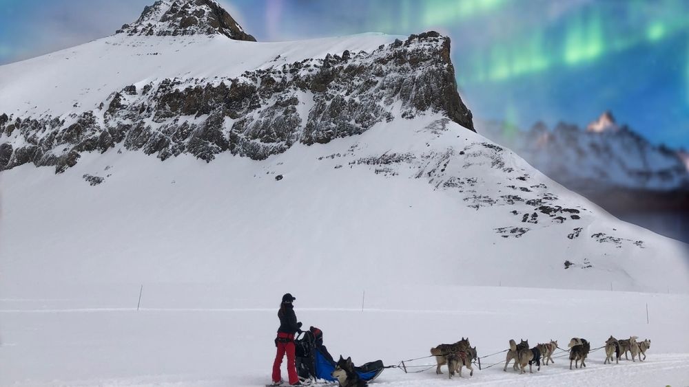 plimbare cu reni in Laponia