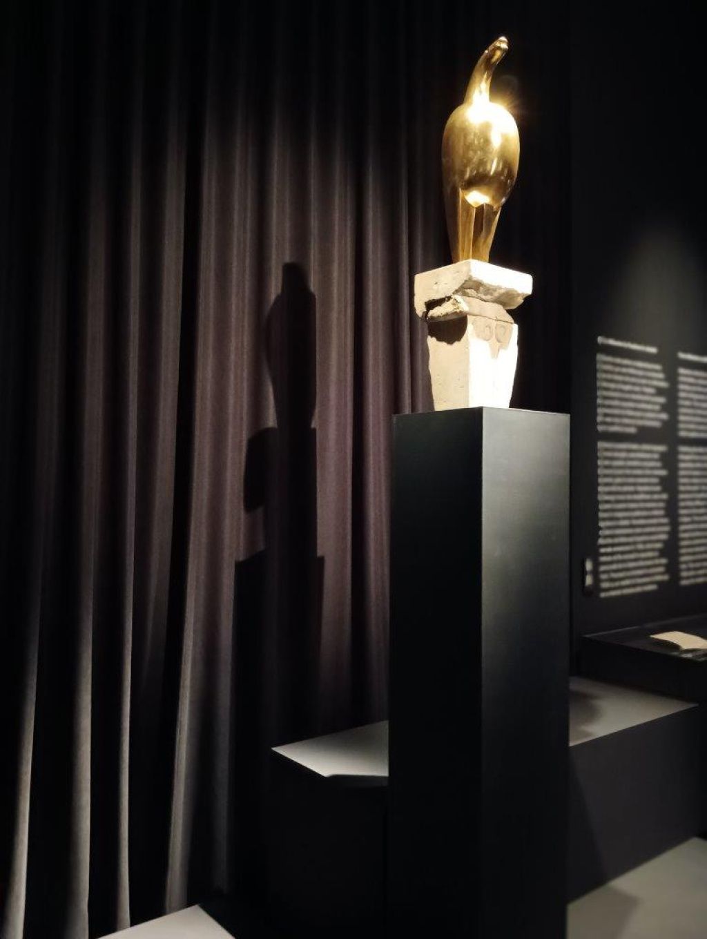Expoziția Brâncuși de la Timișoara: capodoperele, în vizită în patria părintelui lor - Imagine 66