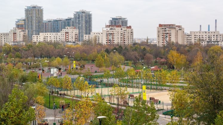 Primaria Capitalei sustine ca va continua dezinsectia in principalele zone publice, fiind aplicate tratamente si pentru "Tigrul platanului"