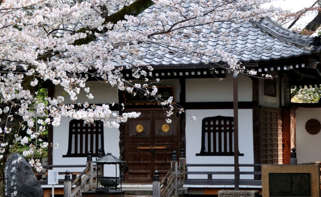 Cireșii din Tokyo, luați cu asalt de turiștii din întreaga lume - Imagine 19