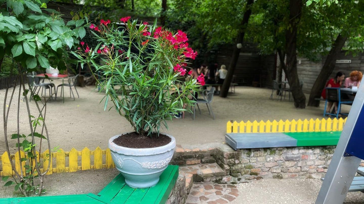 Cazul J`ai Bistrot | Între ”cei șapte ani de-acasă” și ”lasă-l, că e copil”: cum să ne transformăm copiii în adulți civilizați