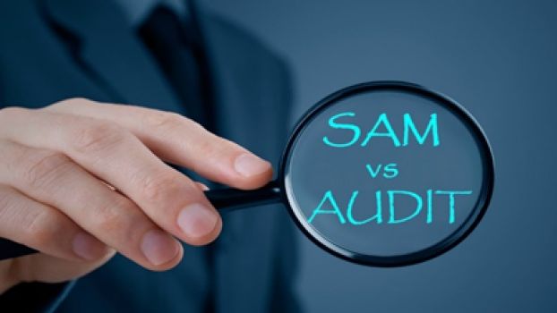 Editorial: Cum poti scapa de un Audit Microsoft