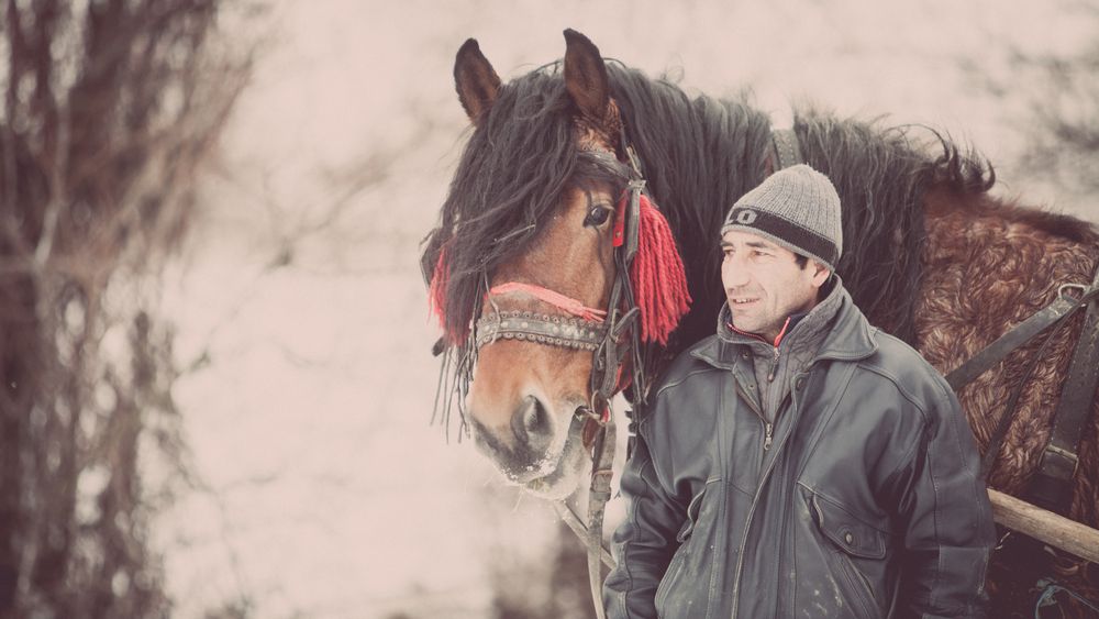 Cresterea economica nu ajunge la toti romanii! Riscul de saracie din mediul rural, dublu fata de media UE