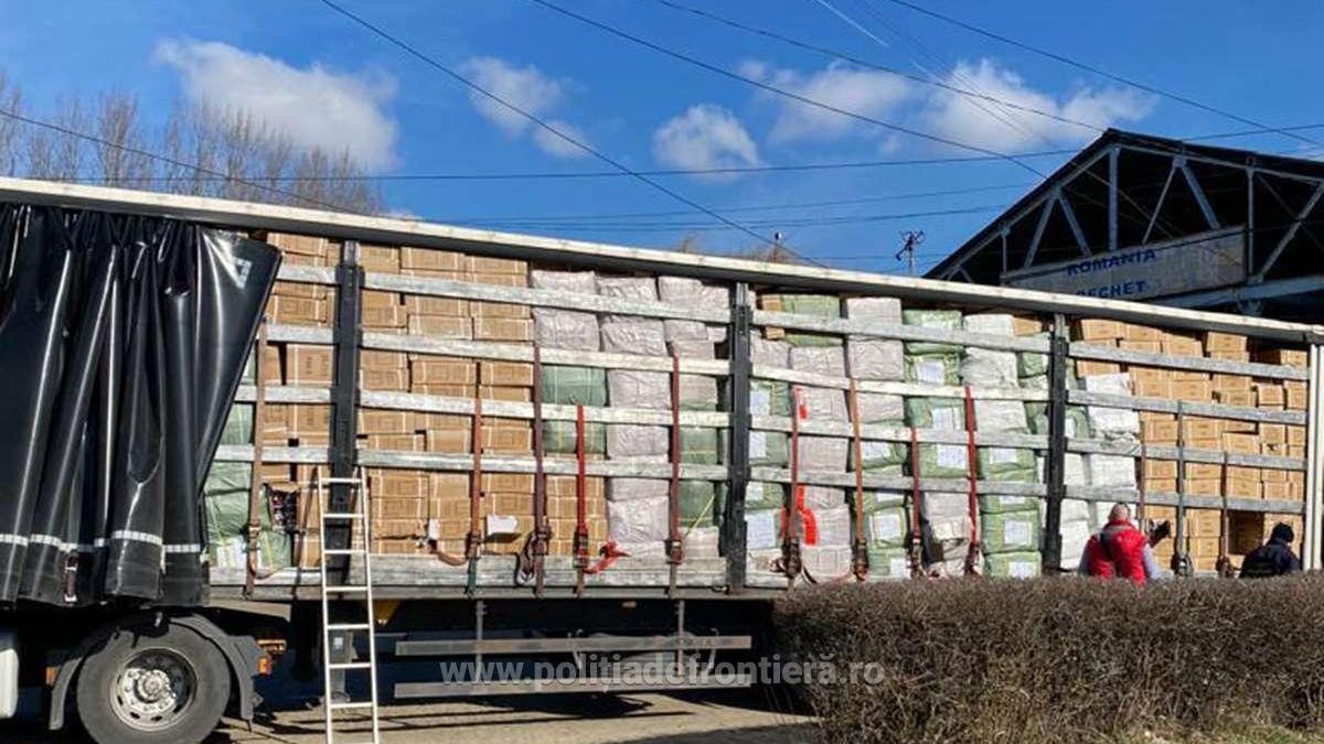 FOTO l Original din China: încălțăminte sport contrafăcută, în valoare de peste 1,8 milioane lei, oprită la vamă