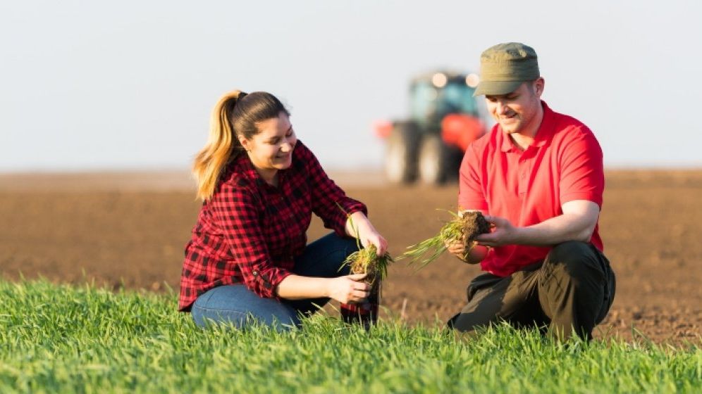 Date oficiale: Cate cereri de subventii pentru agricultura au depus fermierii romani in campania 2018?