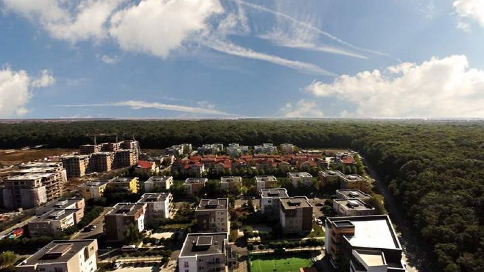 USR vrea sa convinga Primaria Capitalei sa renunte la drumul care taie in doua Padurea Baneasa