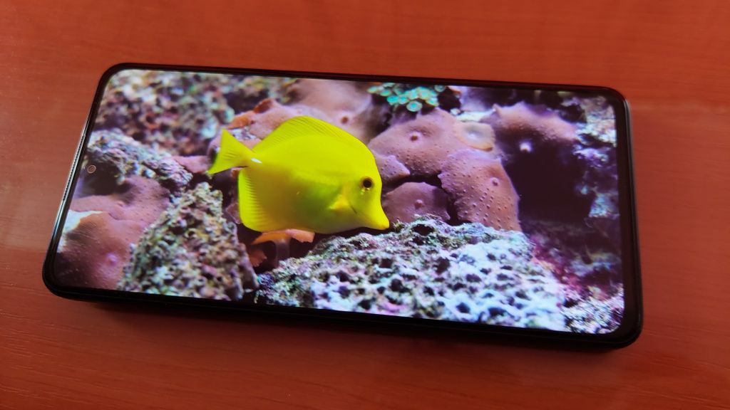 Xiaomi Redmi Note 11 Pro+ 5G - imagini cu telefonul și fotografii realizate cu acest model - Imagine 15