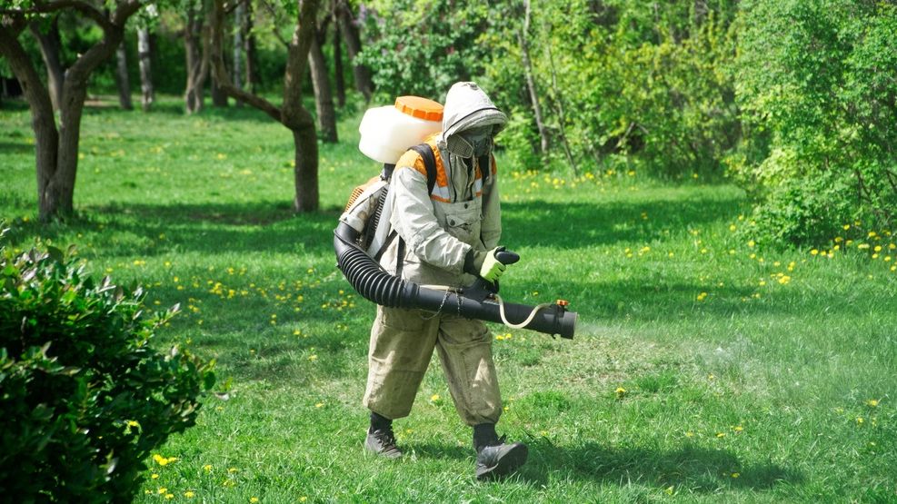 Primăria București începe dezinsecția în luna iunie. Care sunt principalele zone vizate