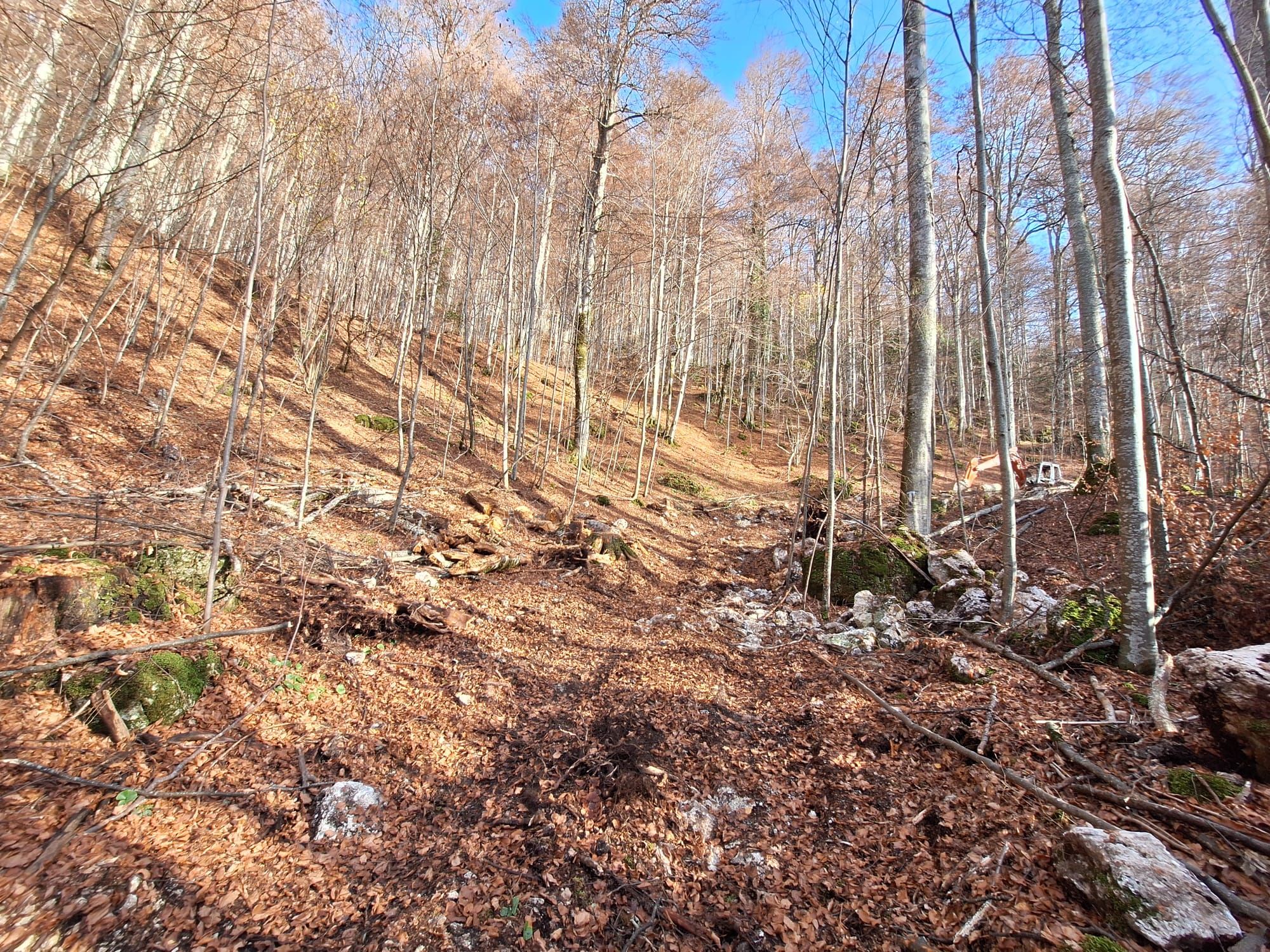 Povești de succes din antreprenoriatul românesc prieten cu natura: Cum îți faci un business într-un parc natural - Poza 23
