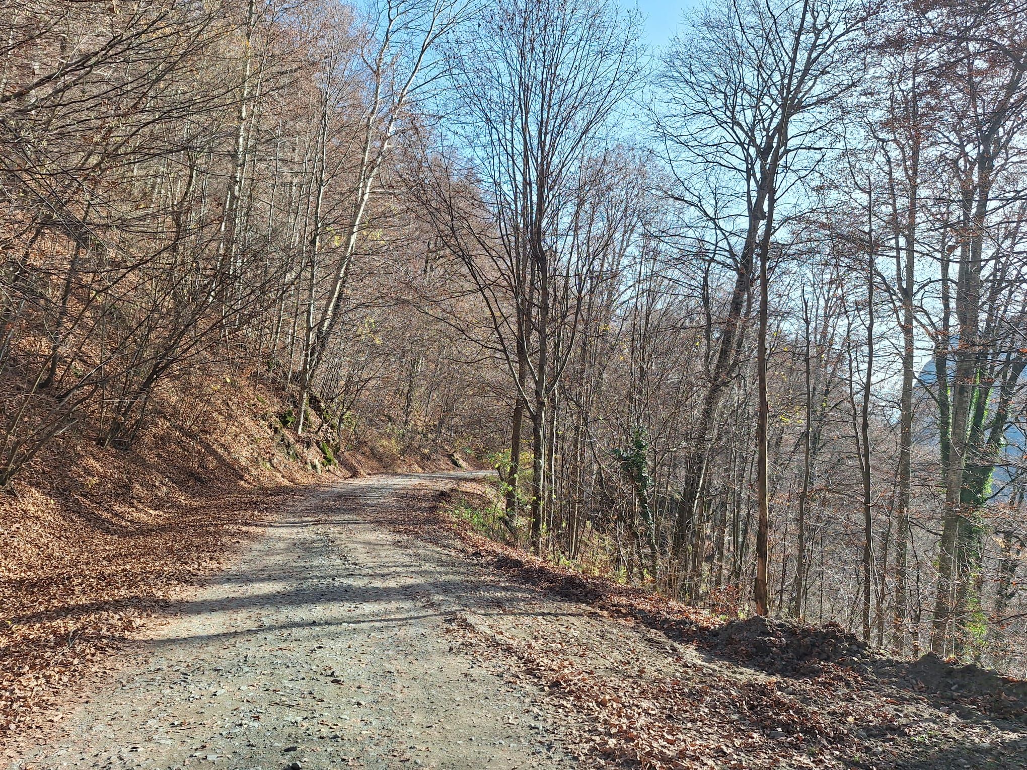 Povești de succes din antreprenoriatul românesc prieten cu natura: Cum îți faci un business într-un parc natural - Poza 24