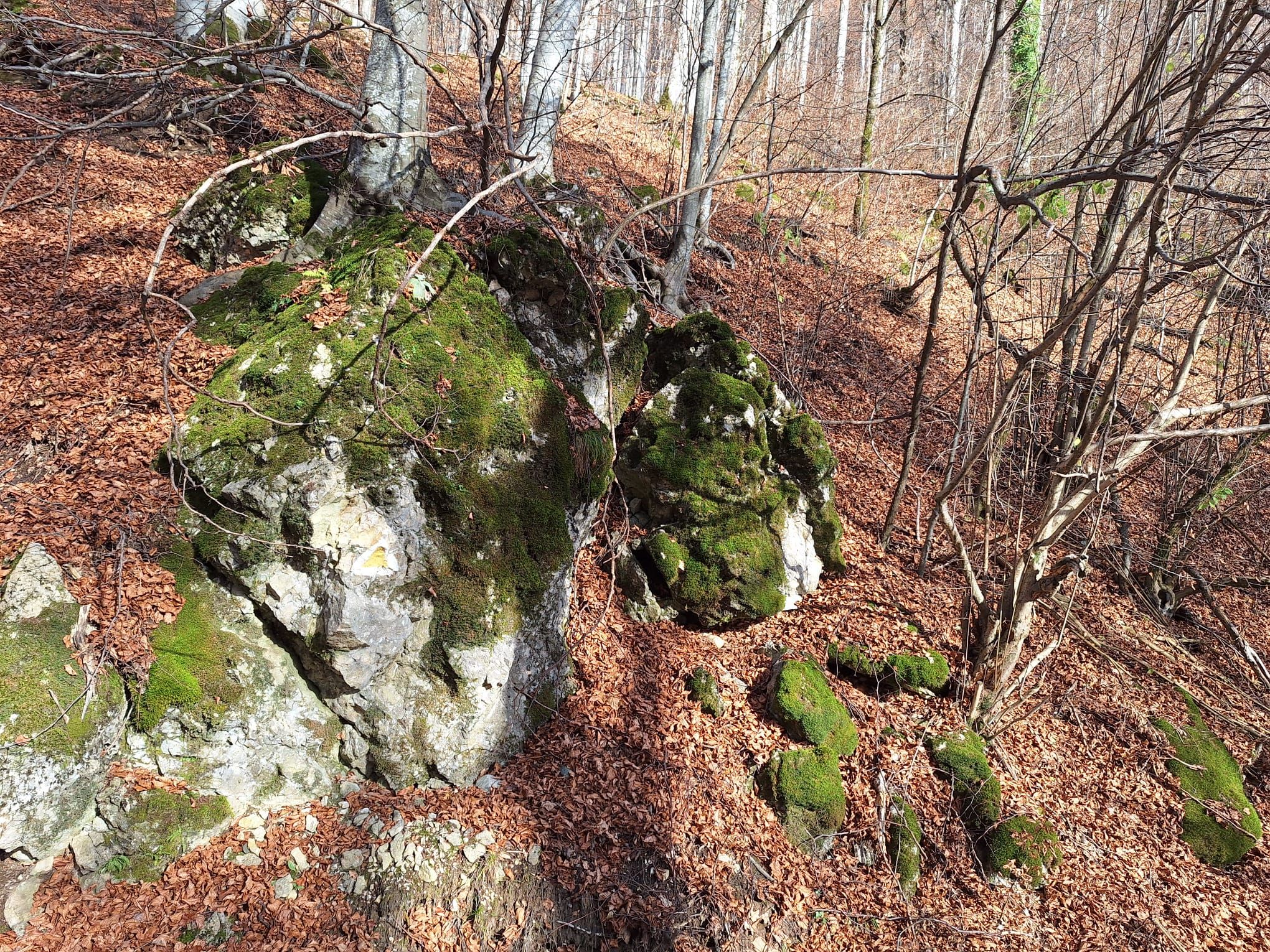 Povești de succes din antreprenoriatul românesc prieten cu natura: Cum îți faci un business într-un parc natural - Poza 25