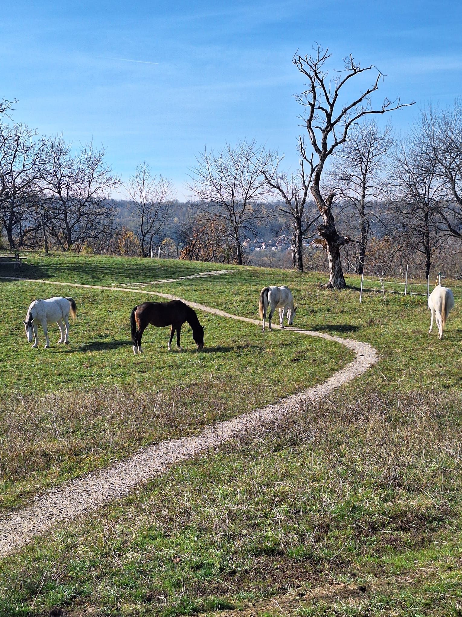 Povești de succes din antreprenoriatul românesc prieten cu natura: Cum îți faci un business într-un parc natural - Poza 26