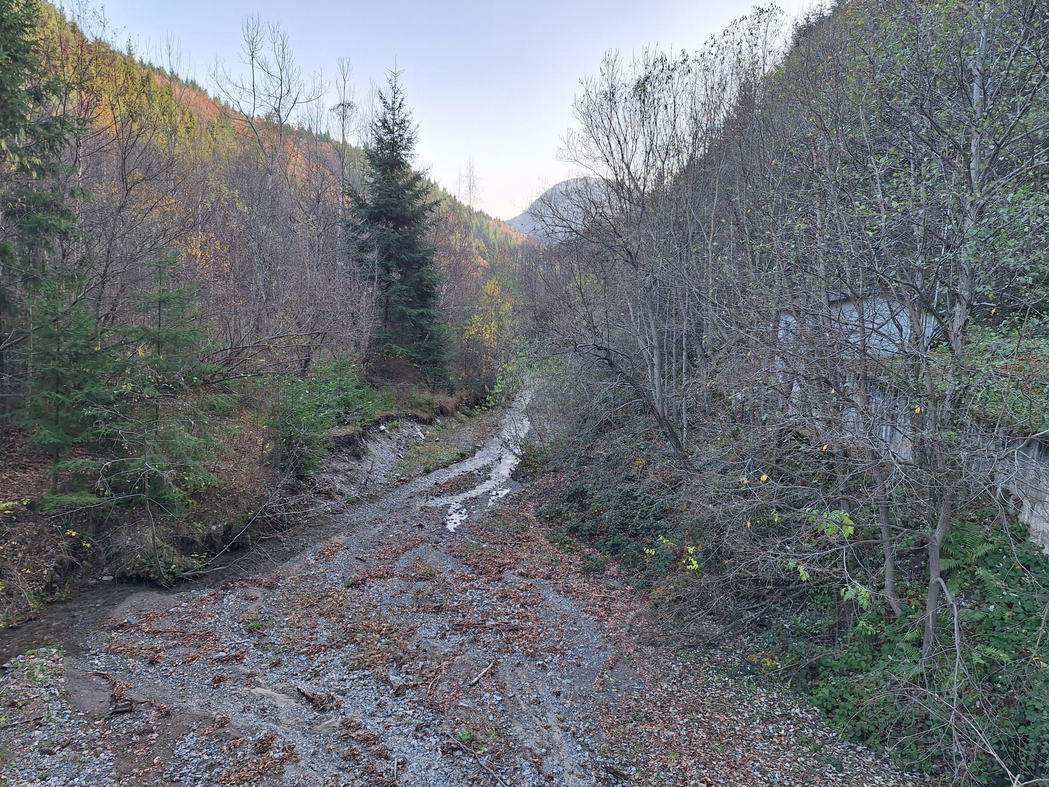 Povești de succes din antreprenoriatul românesc prieten cu natura: Cum îți faci un business într-un parc natural - Poza 18